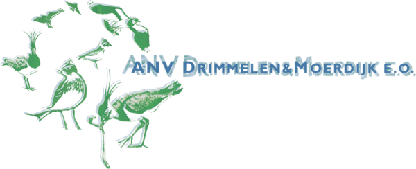 ANV Drimmelen & Moerdijk e.o.